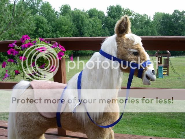 furreal pony butterscotch smores saddle stirrups reins
